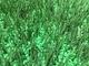 Zusammengestellte hochstabile Rasenfülle aus Gummi für künstliches Gras