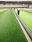 PE-Schaum Rugby-Feld Rasen-Schockpolster Kunstgrasunterlage doppelseitig geschlitzt