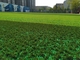 FIFA genehmigte grünes künstliches Gras-Gummieinfüllen für Leistungseinfüllen granuel im Freien